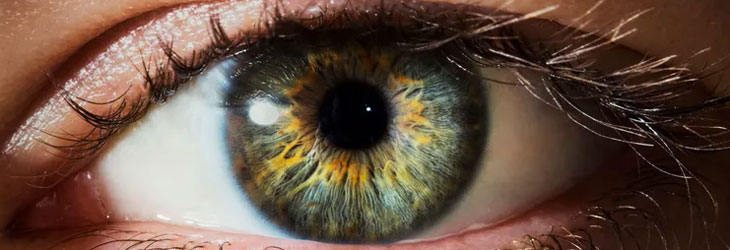a human eye